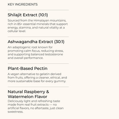 Kingdom Boost Daily Gummies